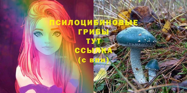 гашик Каменка
