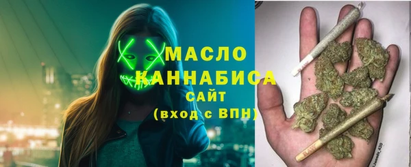 амф Гусиноозёрск