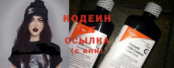 амф Гусиноозёрск