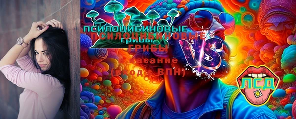 меф Гусев