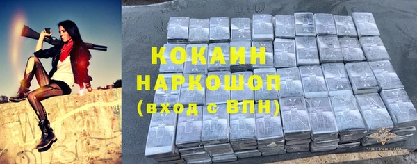 амф Гусиноозёрск