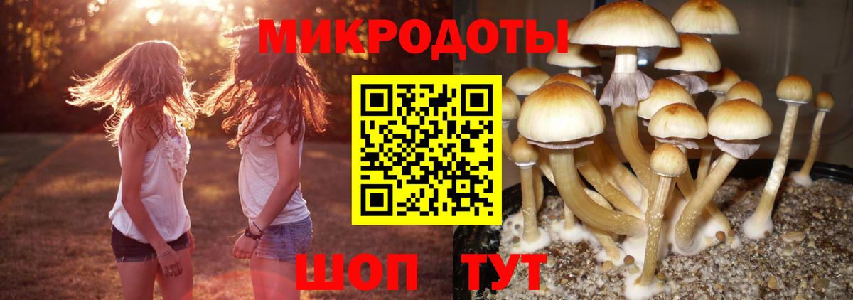 Псилоцибиновые грибы ЛСД  Вход с VPN  Галлюциногенные грибы Magic Shrooms  Еманжелинск 