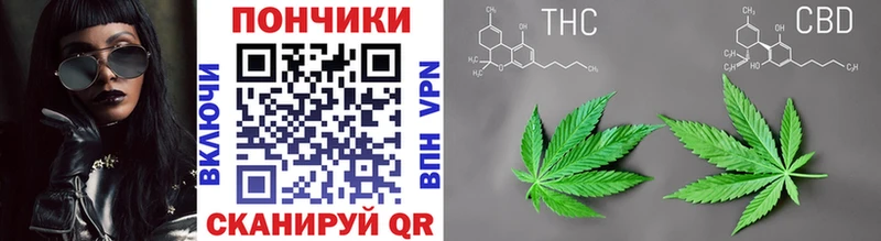 Бошки Шишки конопля  МЕГА   Еманжелинск 